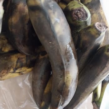 Cepte Şok 'tan Aldığım 3 Ürünümün İade Edilmemesi