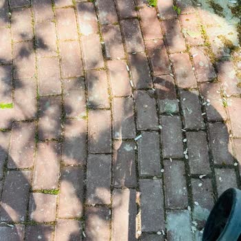 Kocaeli Büyükşehir Belediyesi Parklarda Sigara İçilmesi