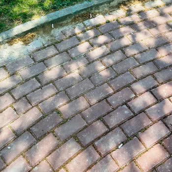 Kocaeli Büyükşehir Belediyesi Parklarda Sigara İçilmesi