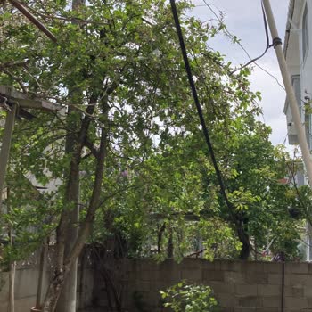 Türk Telekomünikasyon Telefon Kablosu