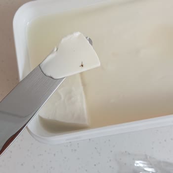 Peysan Tava Peyniri Şikayet