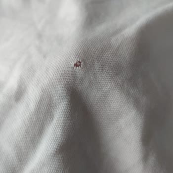 Samsung Türkiye Çamaşır Makinesi Mağduriyeti