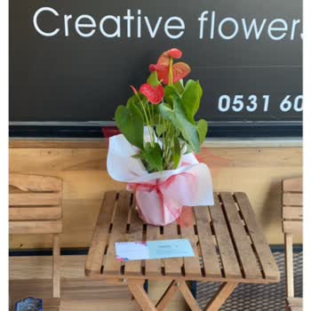 Çiçek Sepeti Seçtiğim Çiçek Yerine İptal Ettiğim Çiçeği Gönderdi