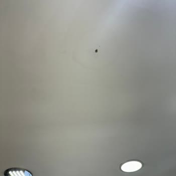 Allianz Sigorta İş Yerimdeki Hasarlar Karşılanmadı!