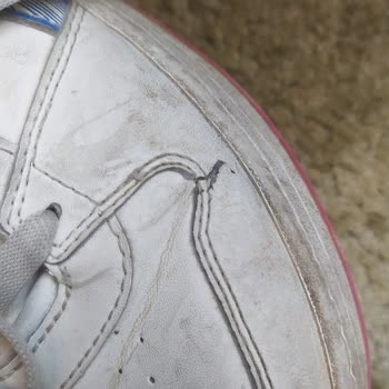 Reebok 6 Aylık Ayakkabı Dağıldı!
