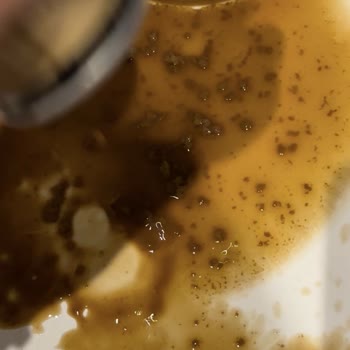 Harras Markalı Soğuk Kahvenin İçinden Çıkanlar