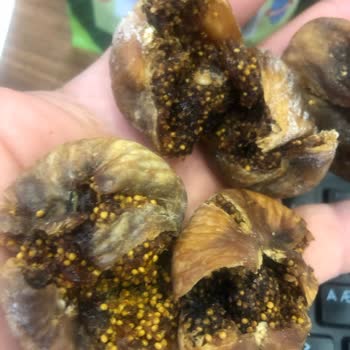 TARİŞ Naturel Kuru İncir Bozuk BİM Market Bursa Ovaakça Kirazlı Şube