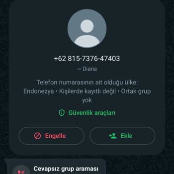 WhatsApp Rahatsız Edici Arama