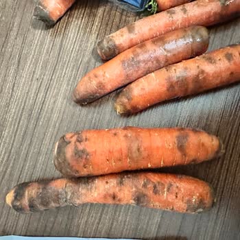 Migros Özlüce Biaport Bozuk Ürün Problemleri