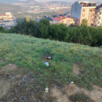 Eki aç