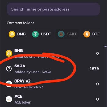 Pancakeswap Borsa Haber Kanalının Coin Halka Arzı