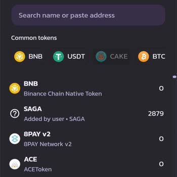 Pancakeswap Borsa Haber Kanalının Coin Halka Arzı