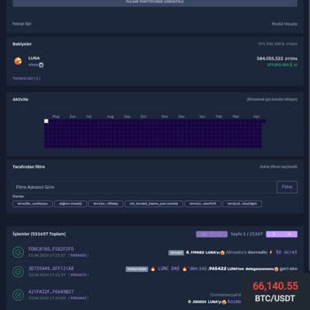 BTCTURK Luna Terra Kilitli Token