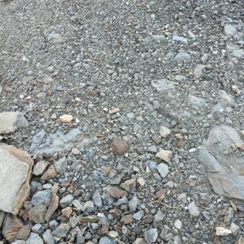 Obilet Uygulamasındaki Sorun Nedeniyle Param Kesildi Ama Bilet Yok