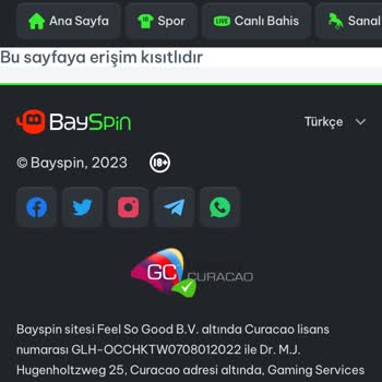 Bayspin Para Çekme Sayfasına Erişimi Kısıtladı. Para Çekemiyorum