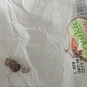 Kafkas Pasta Şekerleme Ürünün İçinde Yabancı Madde Çıktı
