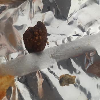 BİM Marketten Aldığım Çerezden Ne Olduğu Belirsiz İki Madde Çıktı!