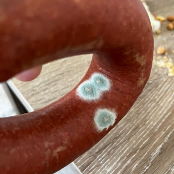 Aytaç Gıda Buzdolabında Ambalajlı Sucukta Küflenme Sorunu