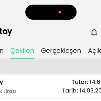 Bitay Borsası Param 33 Gündür Hesabıma Gelmiyor!