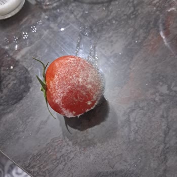 Beko Mağduriyetimin Giderilmesini Talep Ediyorum