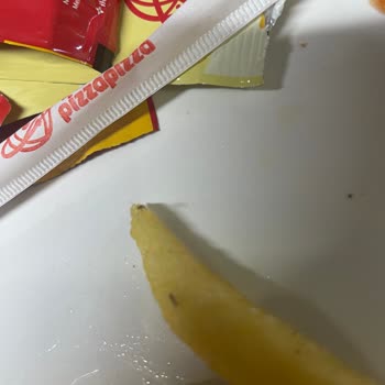 Silifke Terra Pizza Ve Hijyen Sorunu!