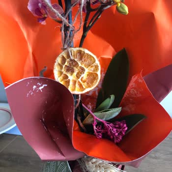 Taze Çiçek (tazecicek.com) Orkide Hayal Kırıklığı Ve Teslimat Sorunu