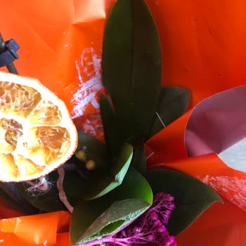 Taze Çiçek (tazecicek.com) Orkide Hayal Kırıklığı Ve Teslimat Sorunu