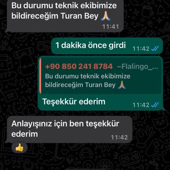 Flalingo Habersiz Üyelik Yenileme