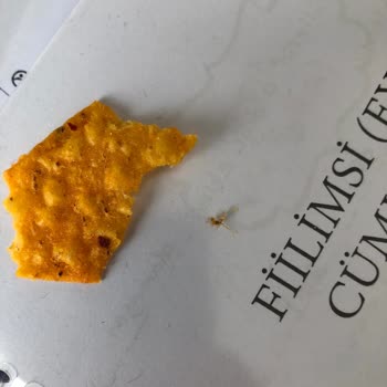 Patos Cipsin İçinden Böcek Çıktı