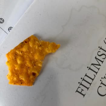 Patos Cipsin İçinden Böcek Çıktı