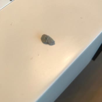 Güzel Ada Gıda Yulaf Ezmesinden Çıkan Taş