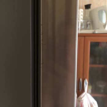 5 Aylık Bosch İnox Buzdolabı Küf Tuttu