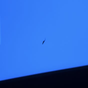 Portavision Projeksiyon Ayıplı Ürün Gönderildi...