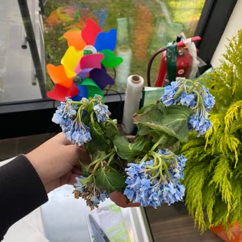 Bahçe Market Ataşehir İade Alınmaması