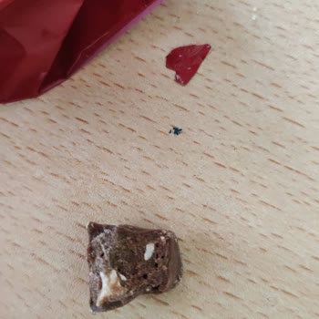 Tadelle Isırılmış Gibi Paketlenmiş Çikolata