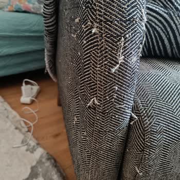 Kelebek Mobilya Pati Dostu Diye Sattıkları Ürünün Arkasında Durmuyor.