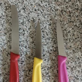 Eyüpoğlu Çelik Paslanmaz Bıçak Paslandı: Victorinox Kalite Sorunu