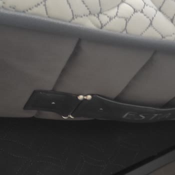 Alfemo Esta Ses Ve Ezilme Sorunu