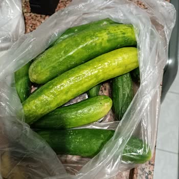 Yemeksepeti Market Carrefour SA Bozuk Sebze Meyve Yolladı