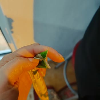 Eti Çikolata Paketinin İçi Yarıya Yakini Boş