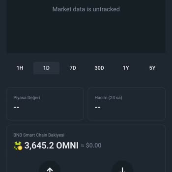 Pancakeswap V3 Üzerinden Alınan Coin Satılmıyor