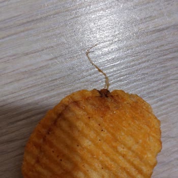 "Cipso" Paketinden Çıkan İplikler