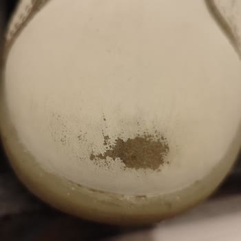 Vicco Ayakkabının İki Günde Soyulması