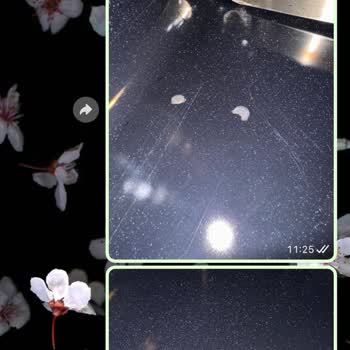 Ferre Müşteri Memnuniyetsizliği: Yeni Fırında Yaşanan Sorunlar