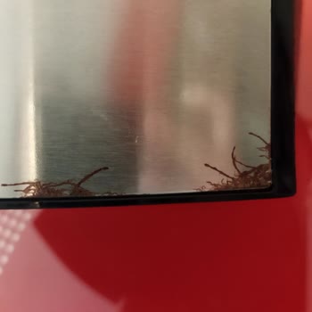 Kumtel Airfryer'ın 5 Ay İçinde Paslanması