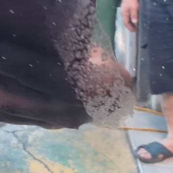 Chery Tiggo 8 Pro Boya Sorunu