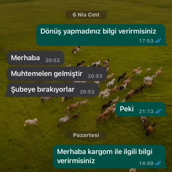 Hannehofficial (Instagram) Alışveriş Yaptım Pişmanım İade Üslup