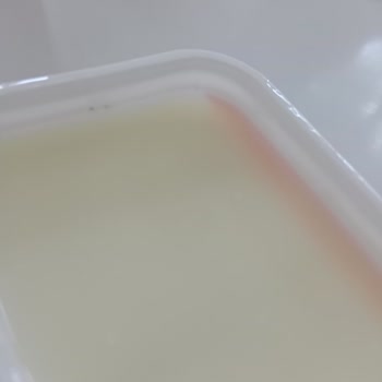 Bahçıvan Süzme Peynir Küflenmiş