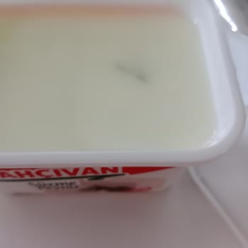 Bahçıvan Süzme Peynir Küflenmiş