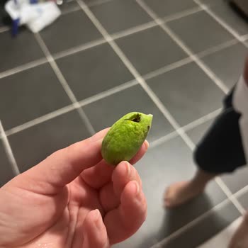 Getir Canlı Kurtlu Ürün Ve Eksik Ürüne Tam Para Çekilmesi!